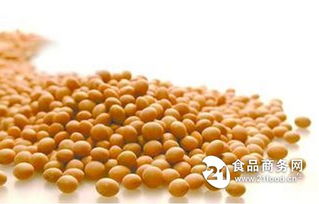 大豆膳食纖維提取工藝研究 技術與應用前景