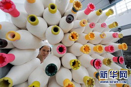 科技創新求發展 大豆纖維的綠色革命與未來之路